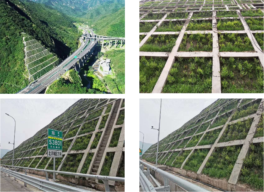 京礼高速（S3801）北京延庆段边坡绿化工程