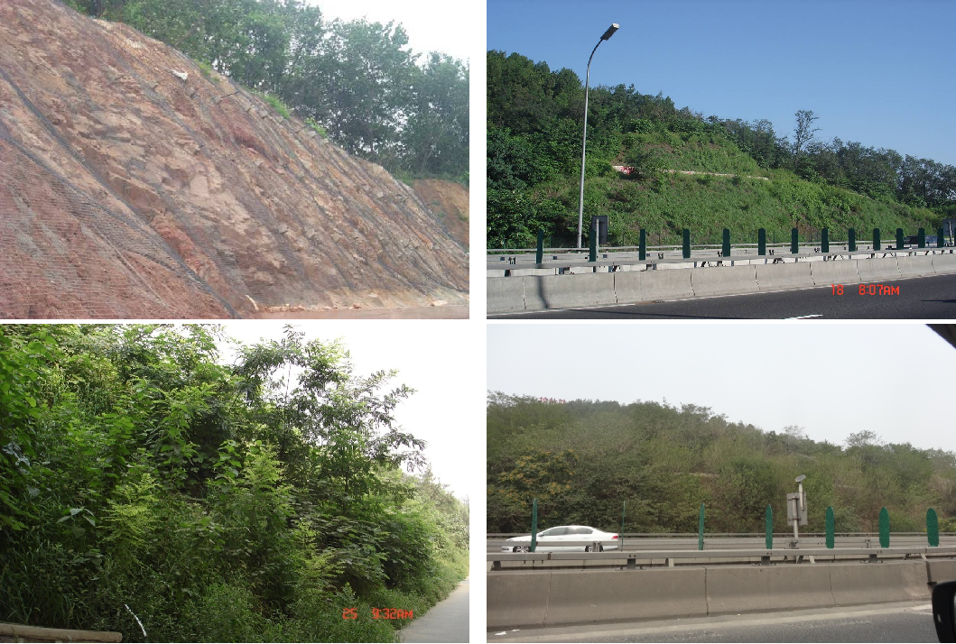 北京市五环路红山口岩石边坡绿化工程