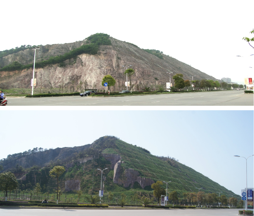 浙江温岭市中华北路岩石边坡绿化工程