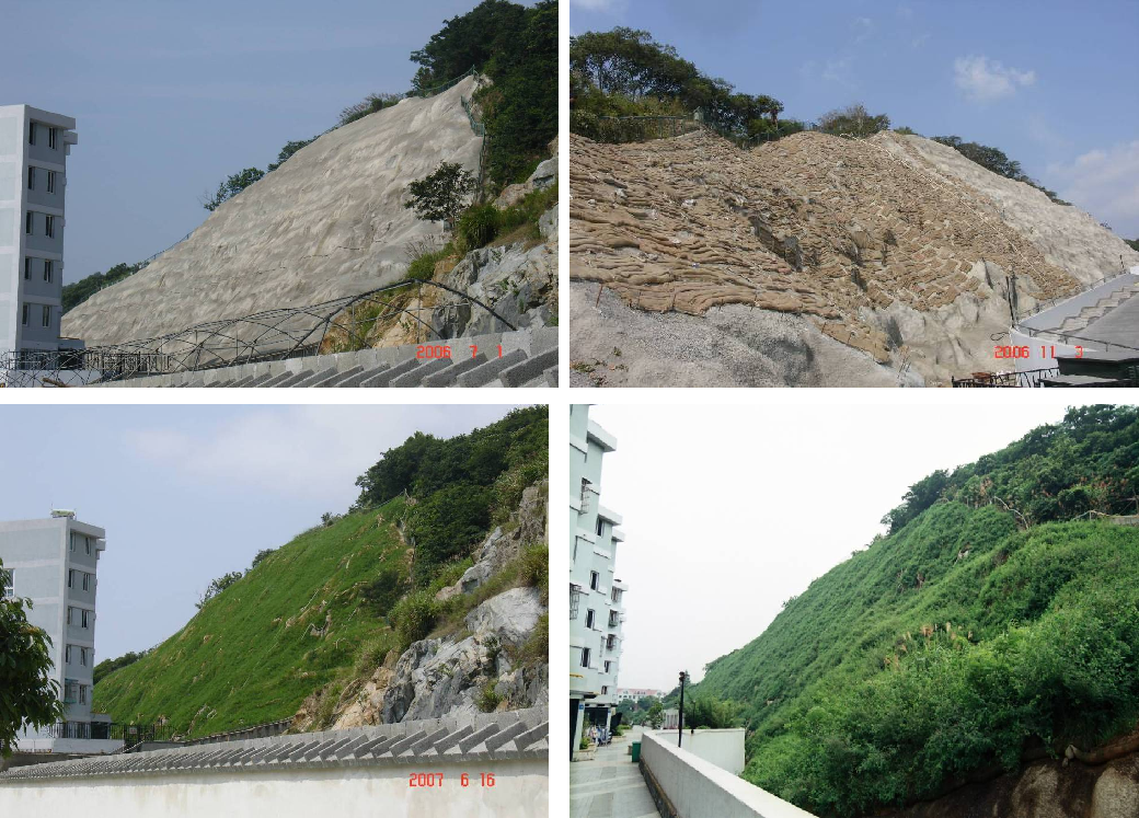 浙江舟山市东港区祥云山庄水泥边坡绿化工程