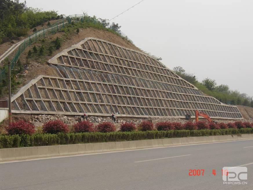 南京市312国道边坡绿化工程