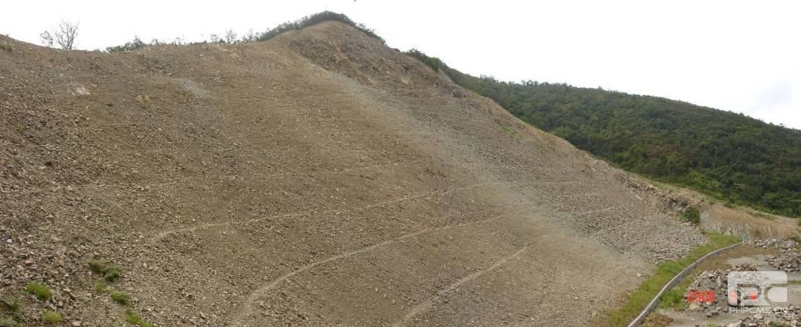 浙江舟山城东毕家井采石矿山边坡绿化工程